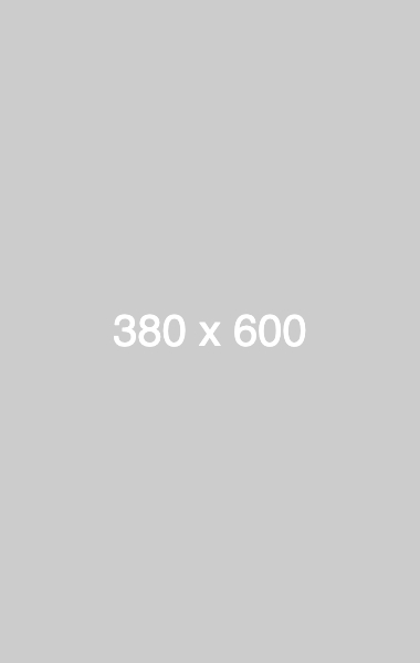 dummy_380x600_ffffff_cccccc